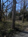 thumbnails/012-IMG_20240502_112902_397.jpg.small.jpeg