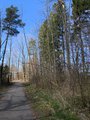 thumbnails/013-IMG_20240502_112920_982.jpg.small.jpeg