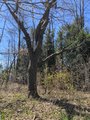 thumbnails/014-IMG_20240502_112939_293.jpg.small.jpeg